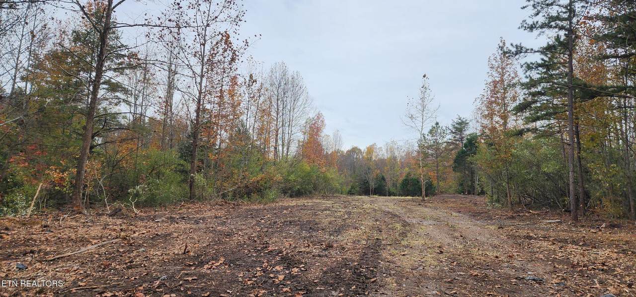  Edward Smith Rd - Photo 1