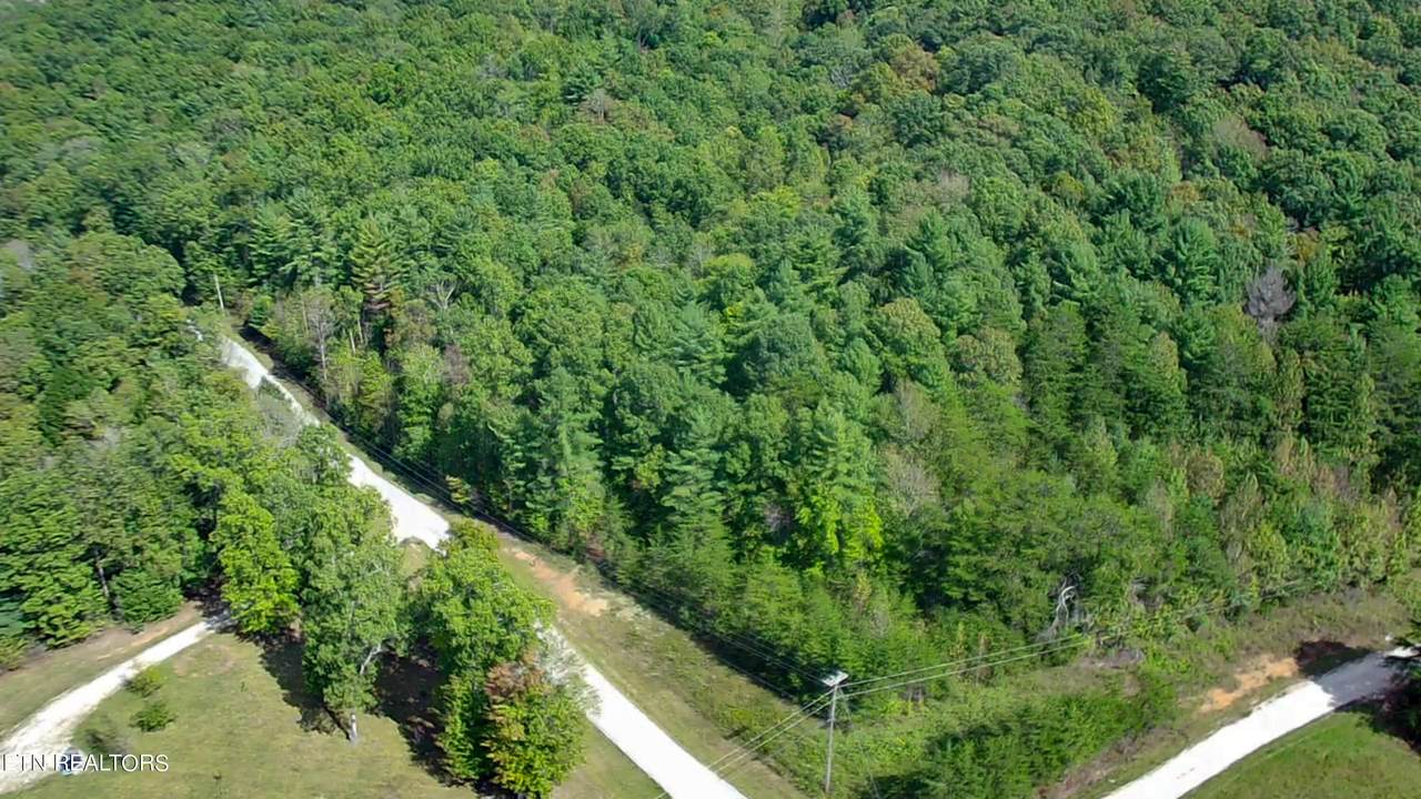  Bear Hollow Rd - Photo 1