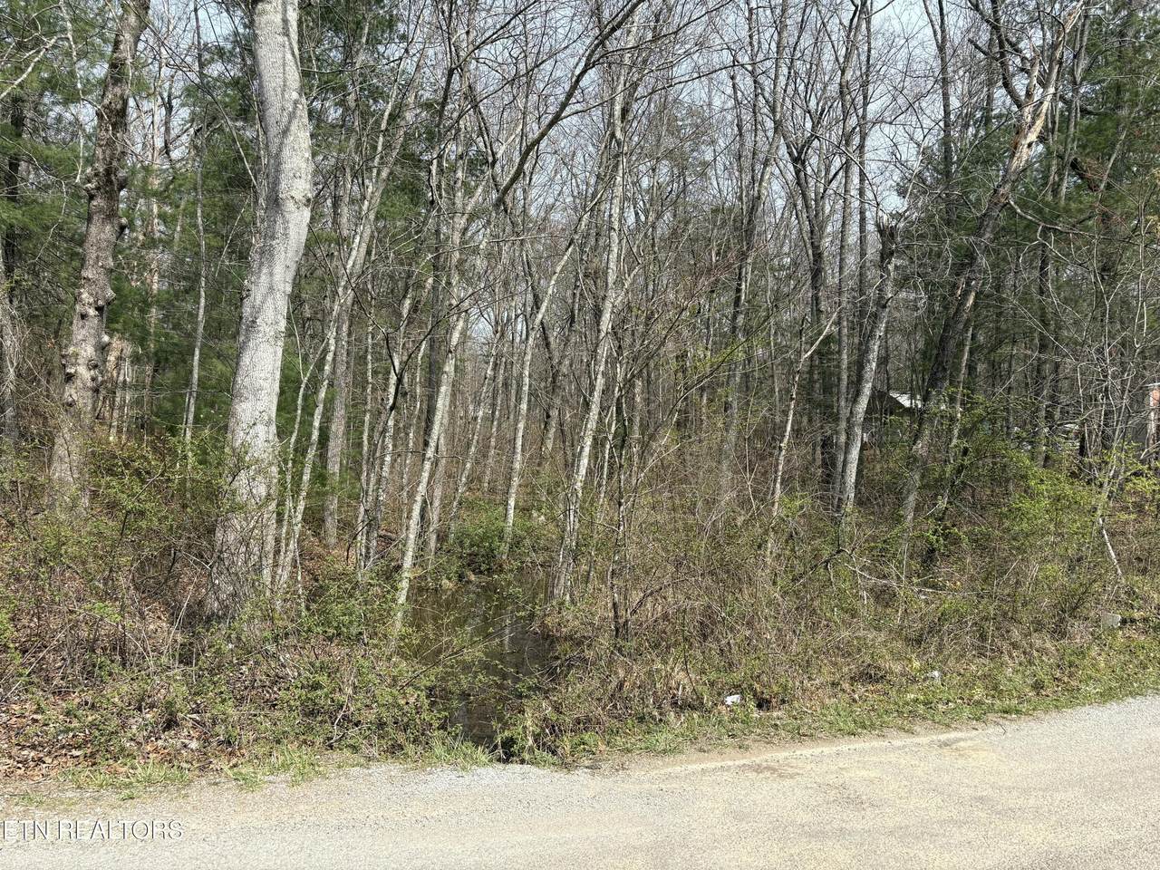  Brown Creek Drive - Photo 1