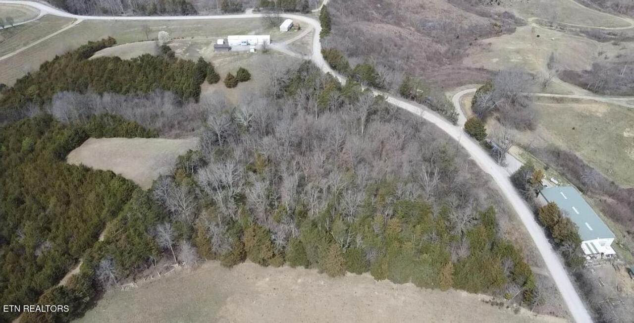  Bear Creek Rd Off Rd - Photo 1