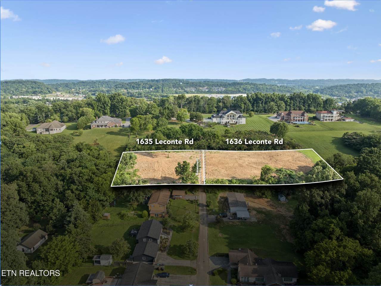 1636 Leconte Rd - Photo 1