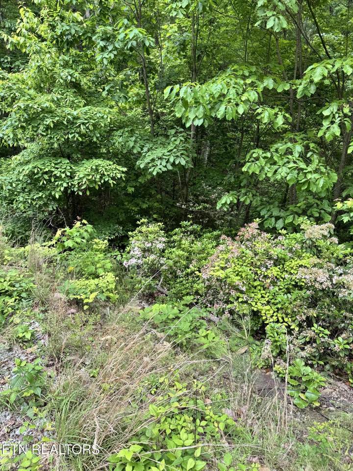 Goose Creek Rd - Photo 1