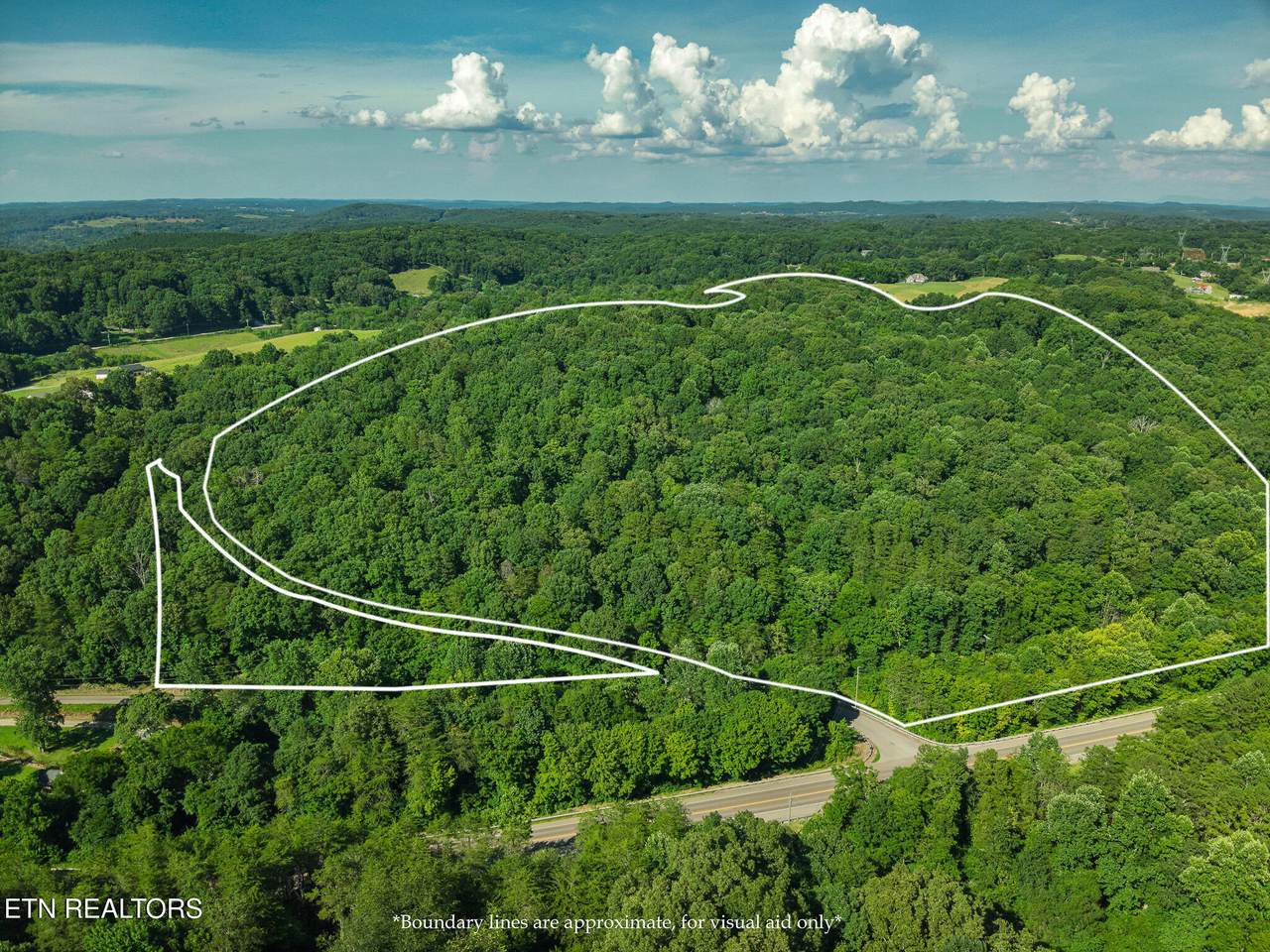 150 Clear Branch Rd N - Photo 1