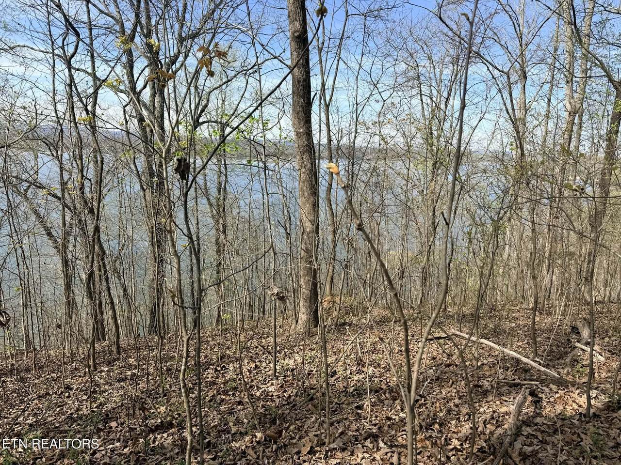  Lot 8 Johnson Lane - Photo 1