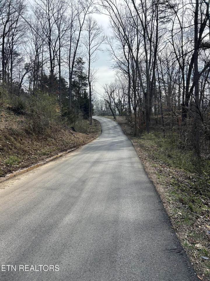 10513 Rather Rd - Photo 1
