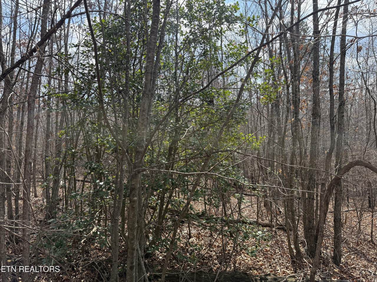 https://bt-photos.global.ssl.fastly.net/kaar/1280_boomver_1_1333997-2.jpg