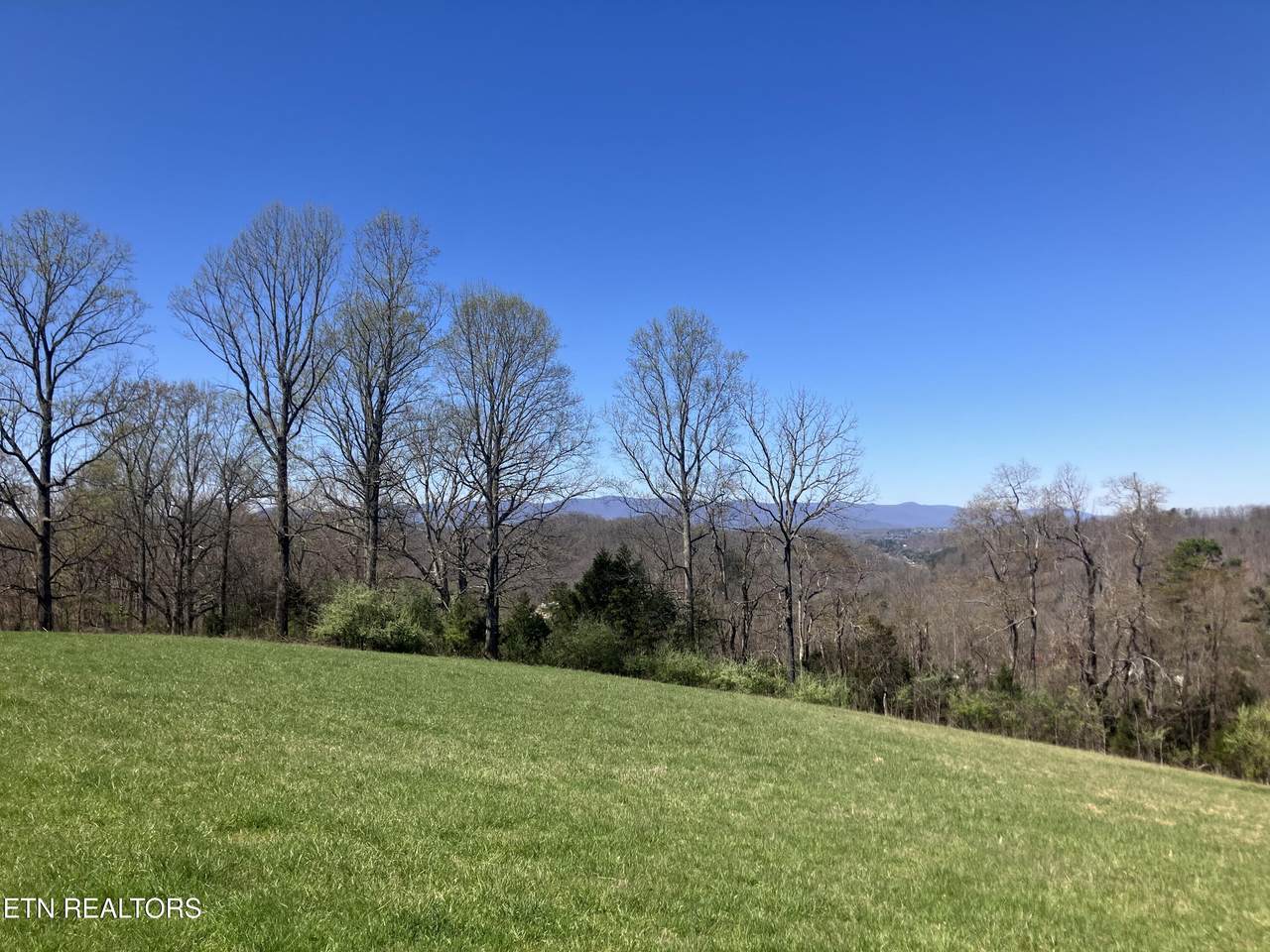  Elkins Valley Rd - Photo 1
