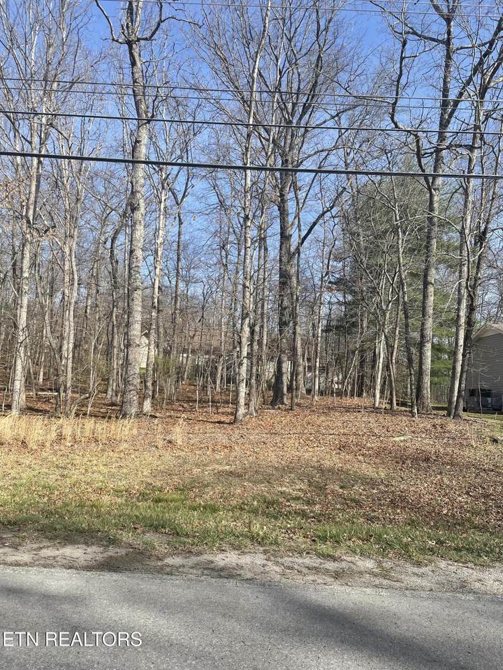 359 Lakeview Drive - Photo 1