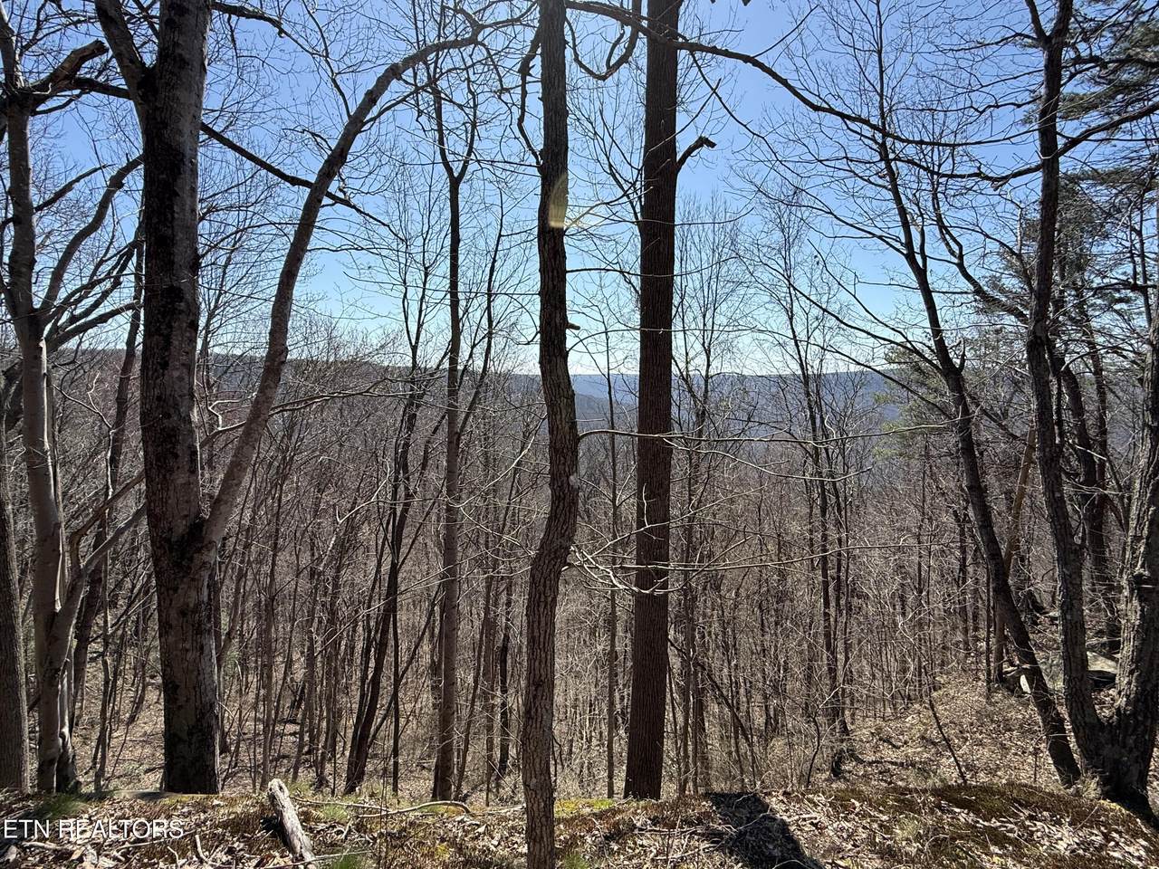  Cumberland Cove Rd - Photo 1