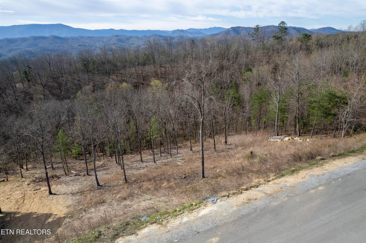 Lot 102 Laurel Cove Tr - Photo 1