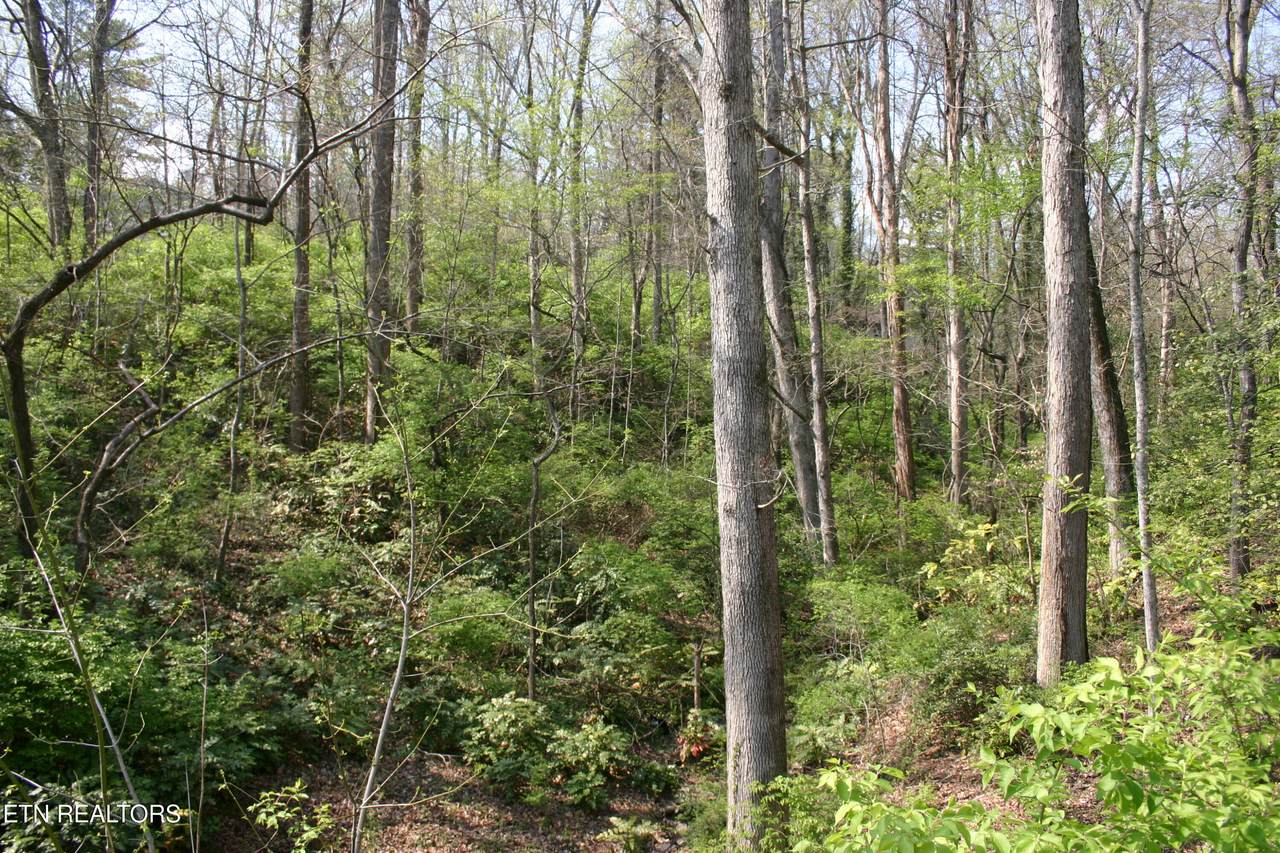 Lot 12 Vanhorn Rd - Photo 1