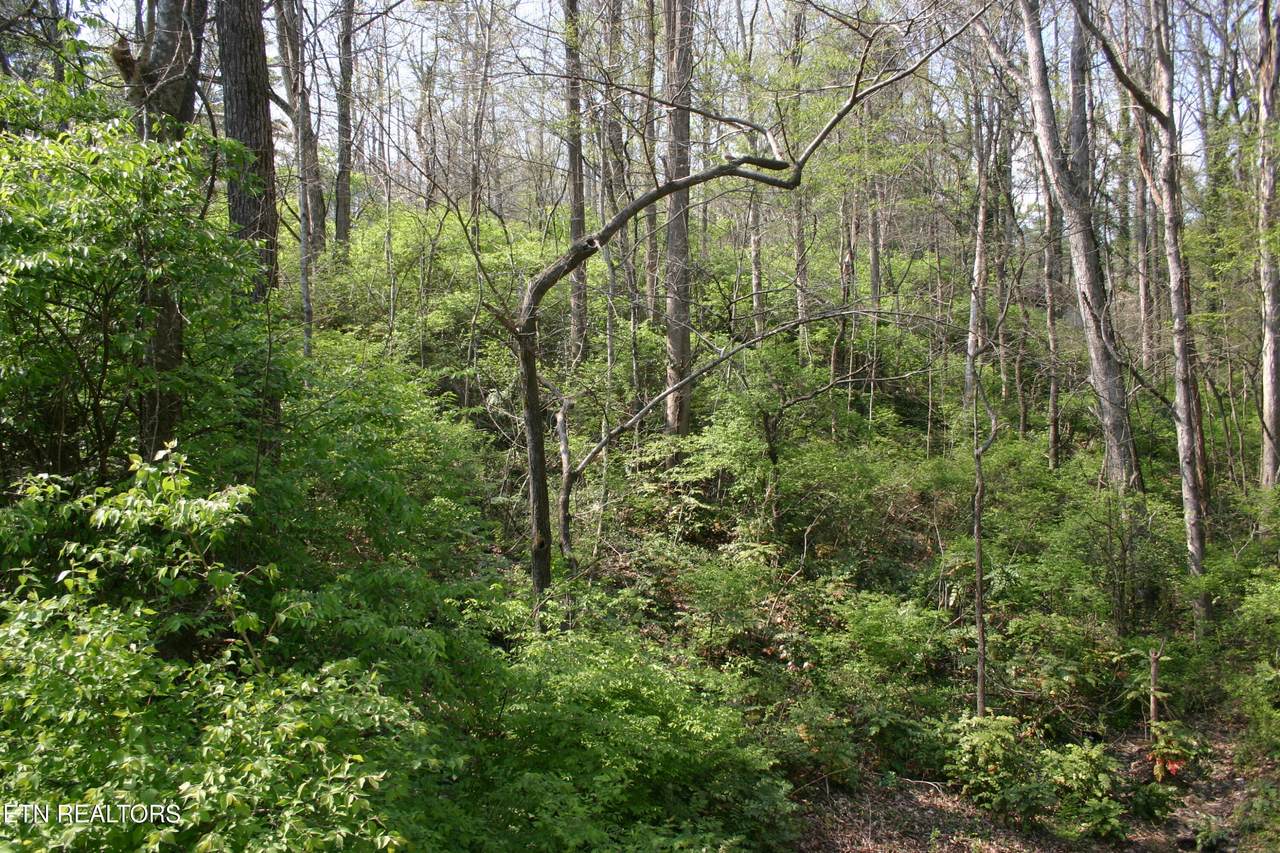 https://bt-photos.global.ssl.fastly.net/kaar/1280_boomver_1_1334333-2.jpg