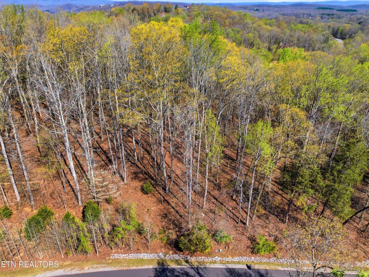  Lot 141 E Shore Drive - Photo 1