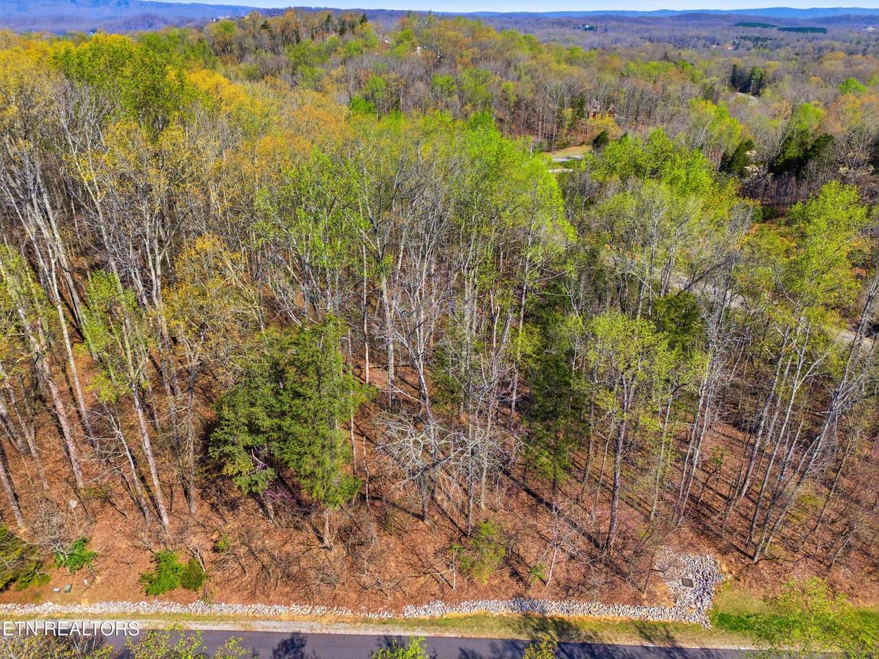  Lot 142 E Shore Drive - Photo 1