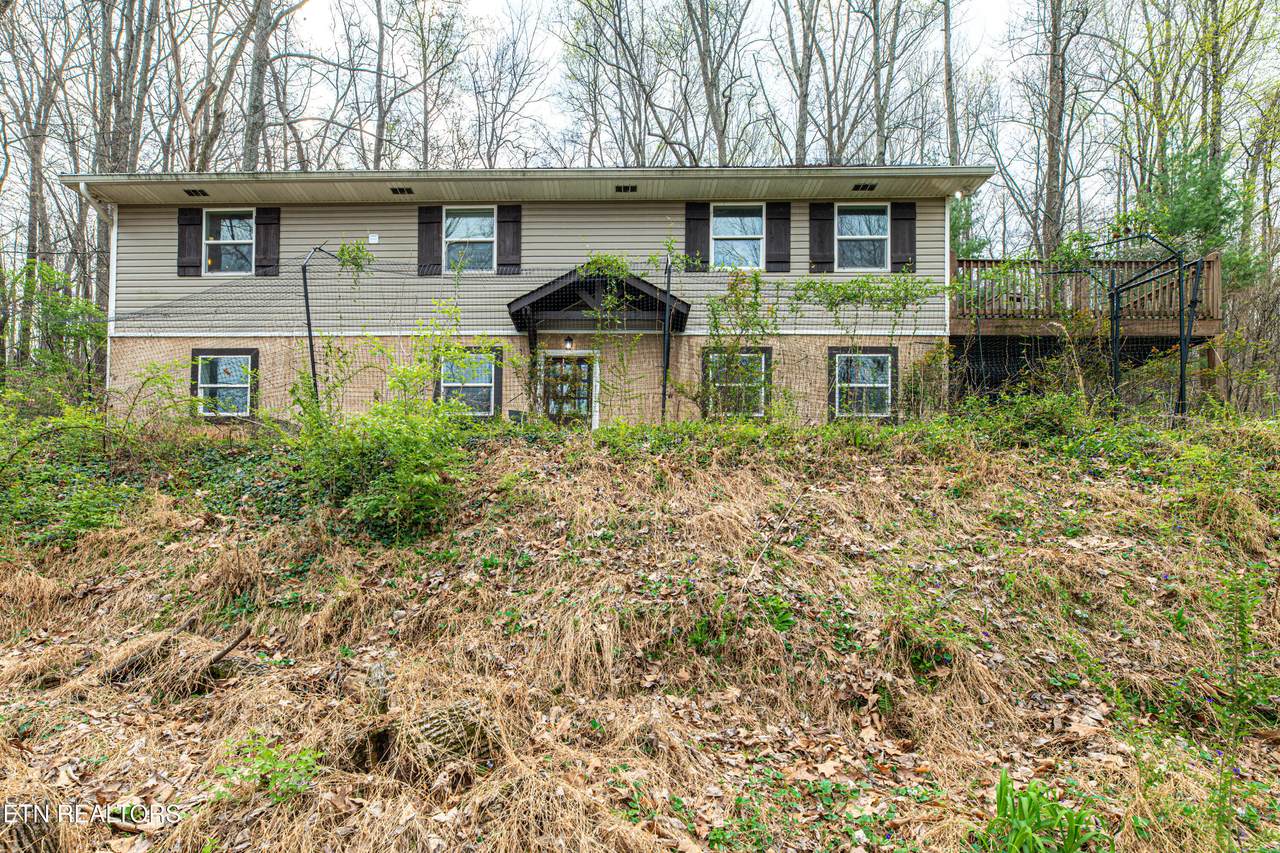 6601 Hilda Lane - Photo 1