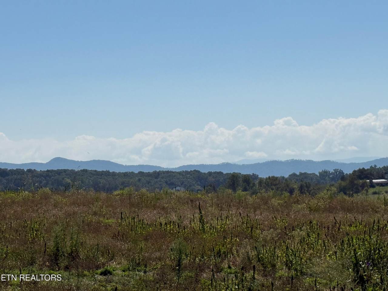 5408 Nails Creek Rd - Photo 1
