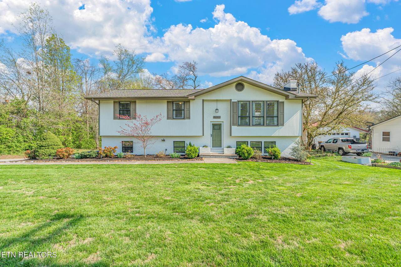 7634 Luscombe Drive - Photo 1