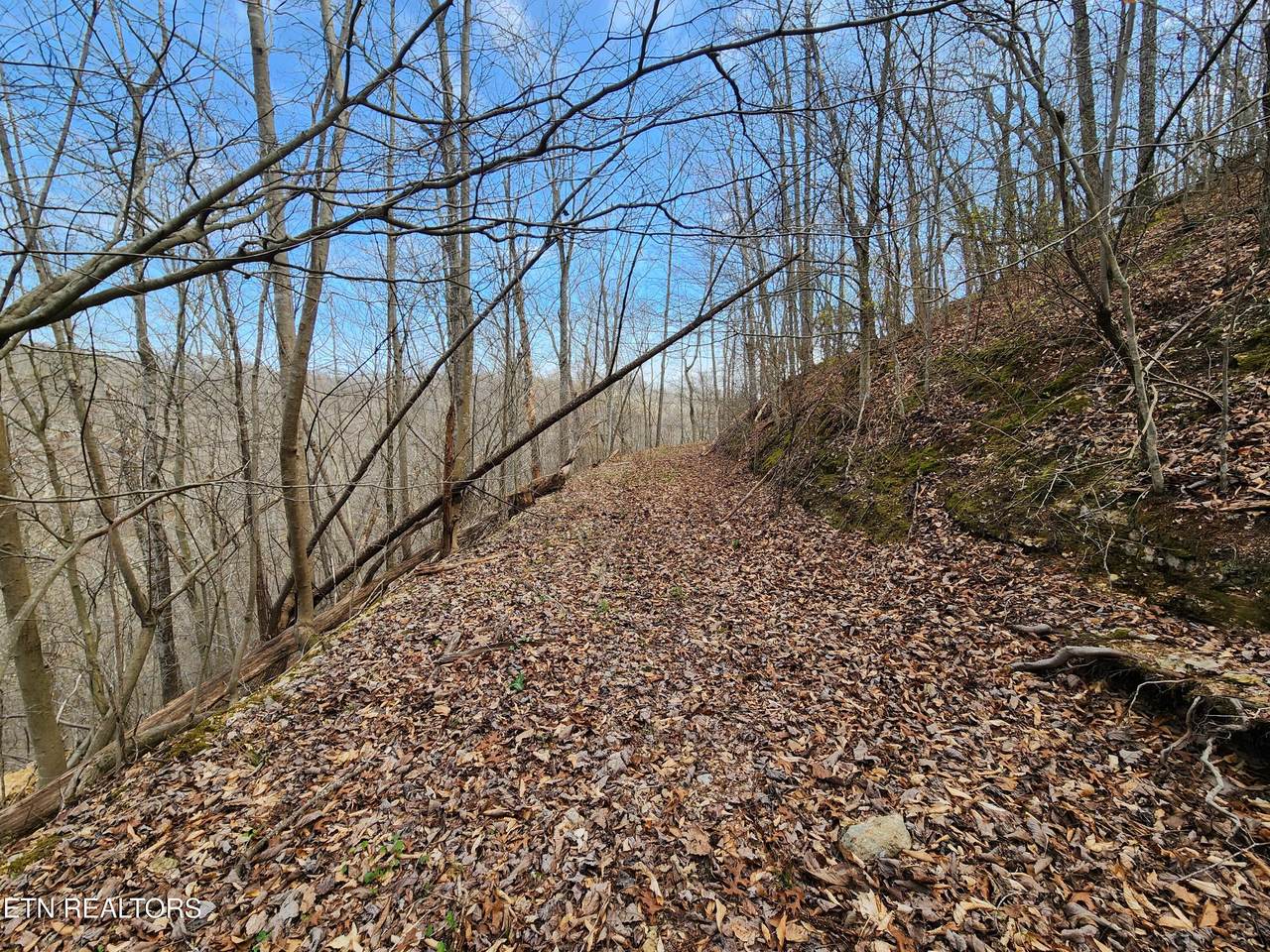  Alpine Drive - Photo 1