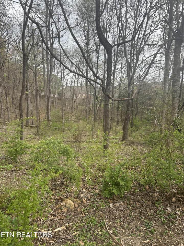  Mountain Grove Lane - Photo 1