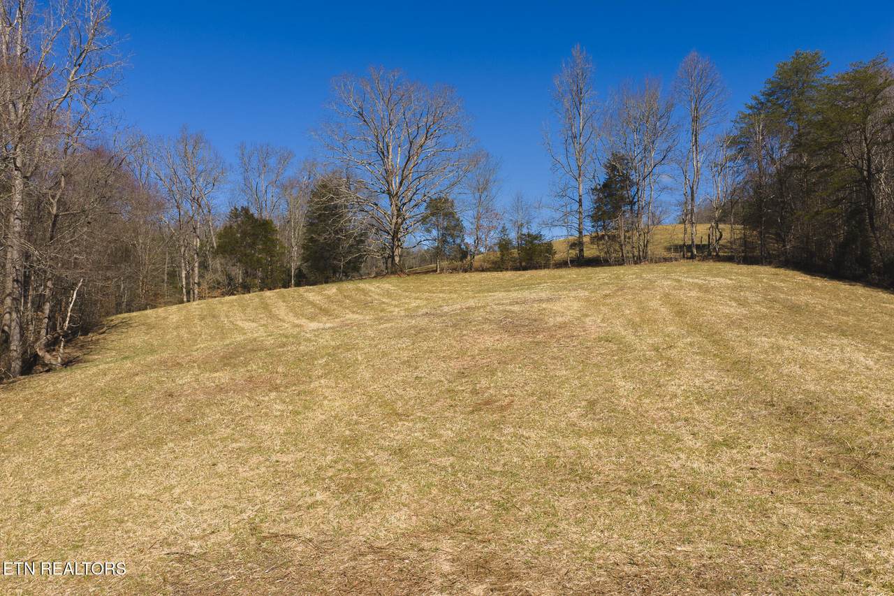 100 Acres Sutton Hollow Rd - Photo 1
