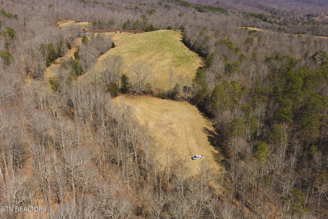 50 Acres Sutton Hollow Rd - Photo 1
