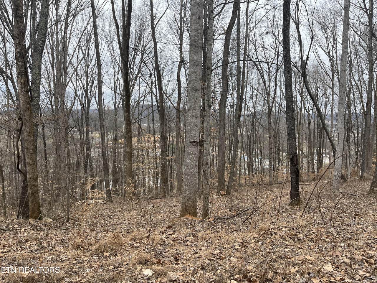 147 Chestnut Hill Rd - Photo 1