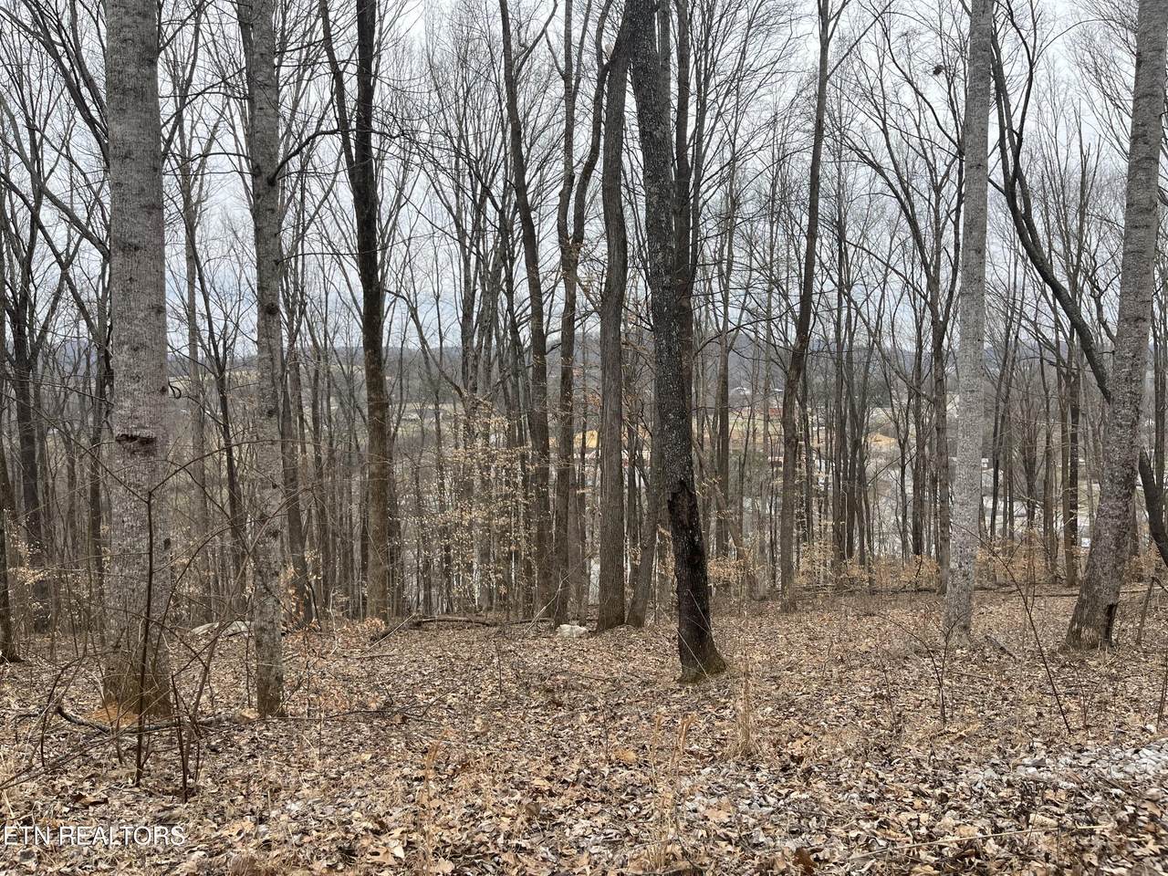 https://bt-photos.global.ssl.fastly.net/kaar/1280_boomver_1_1334859-2.jpg