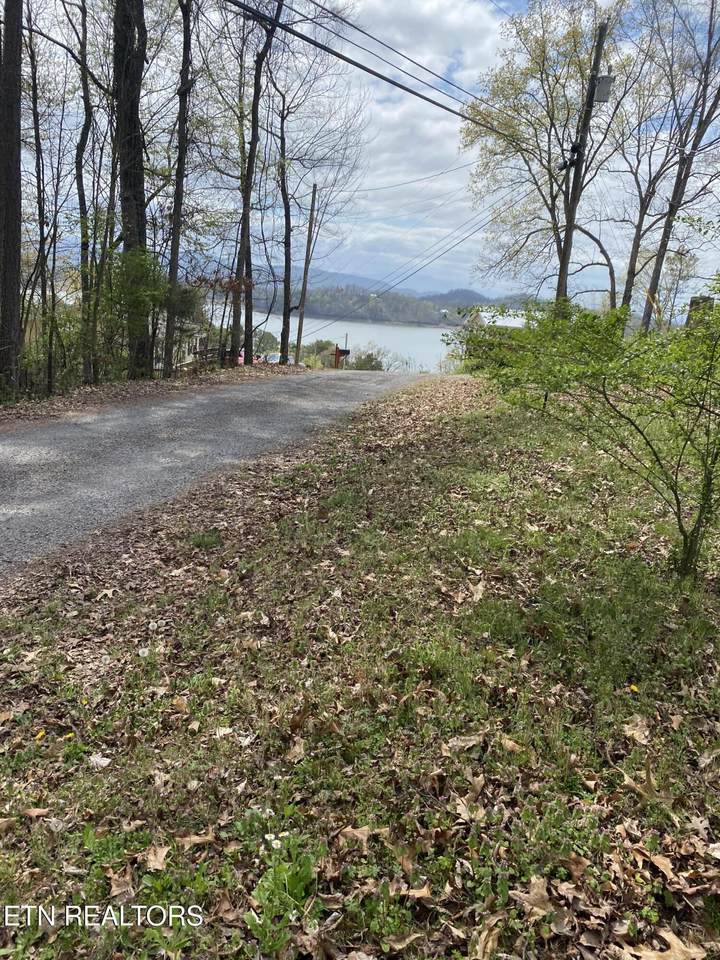 Lot 612 Cottage Lane - Photo 1
