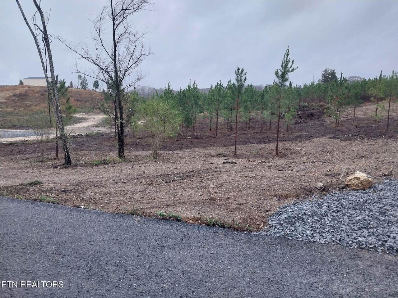 339 Big Sewee Rd - Photo 1