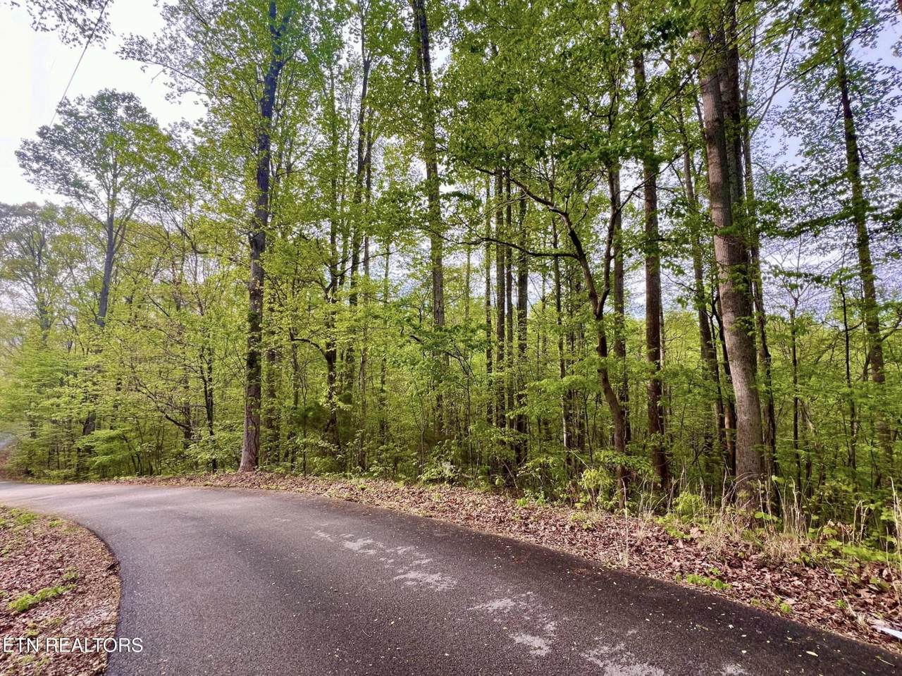 Lot 76&77 Polly Mountain Rd - Photo 1