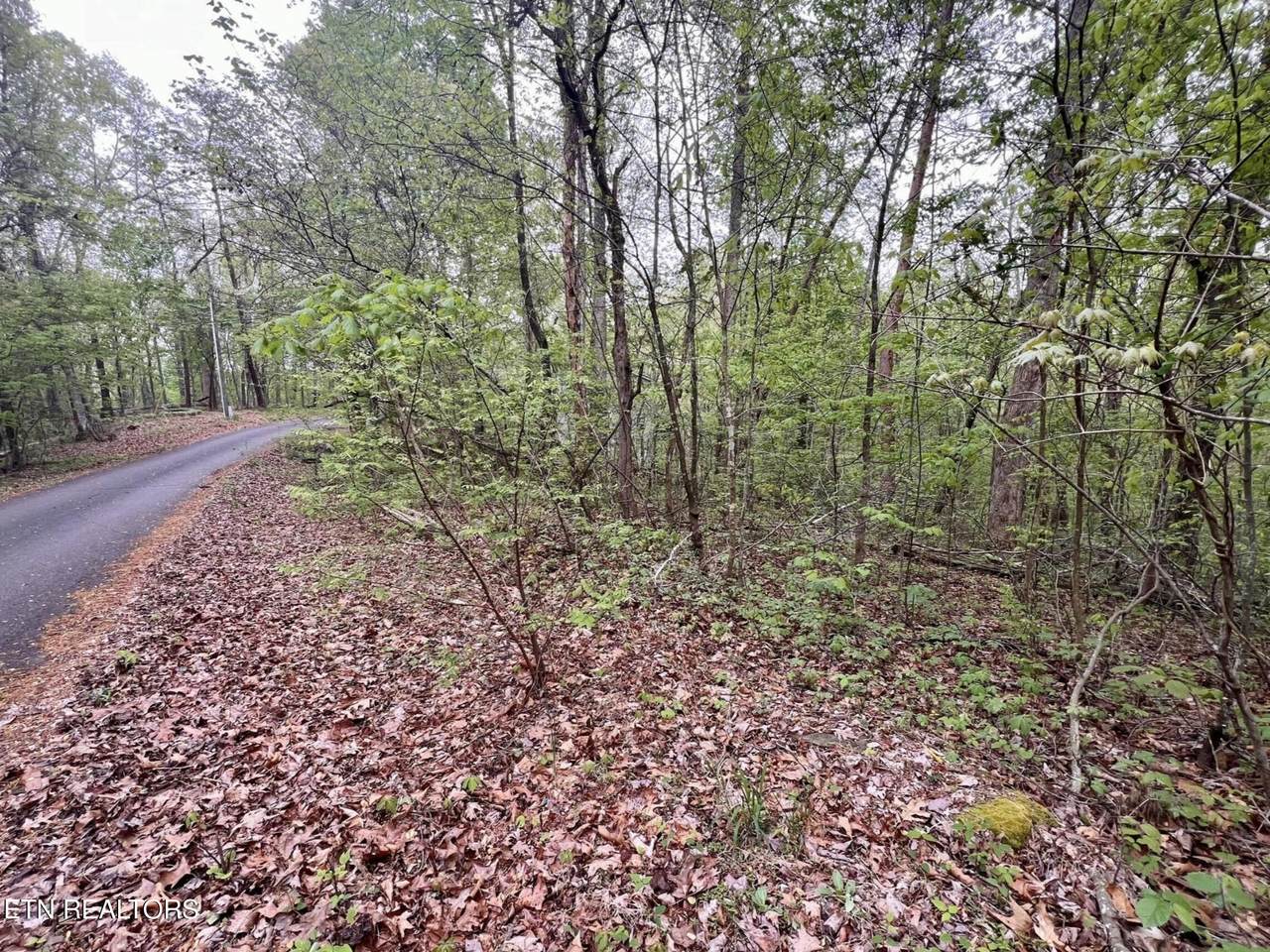 Lot 71&72 Polly Mountain Rd - Photo 1