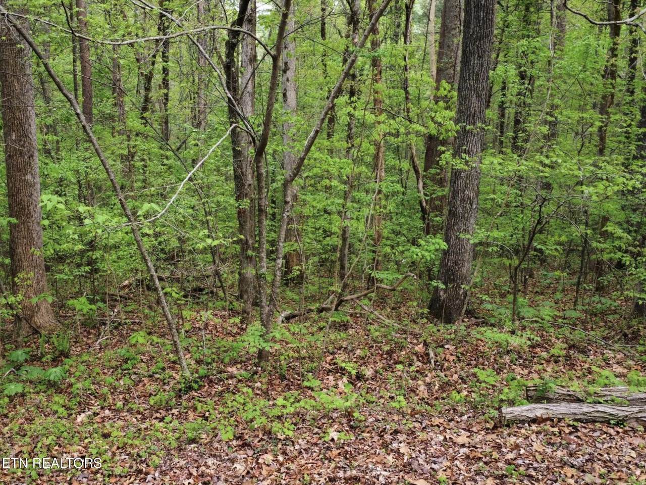 https://bt-photos.global.ssl.fastly.net/kaar/1280_boomver_1_1335067-2.jpg