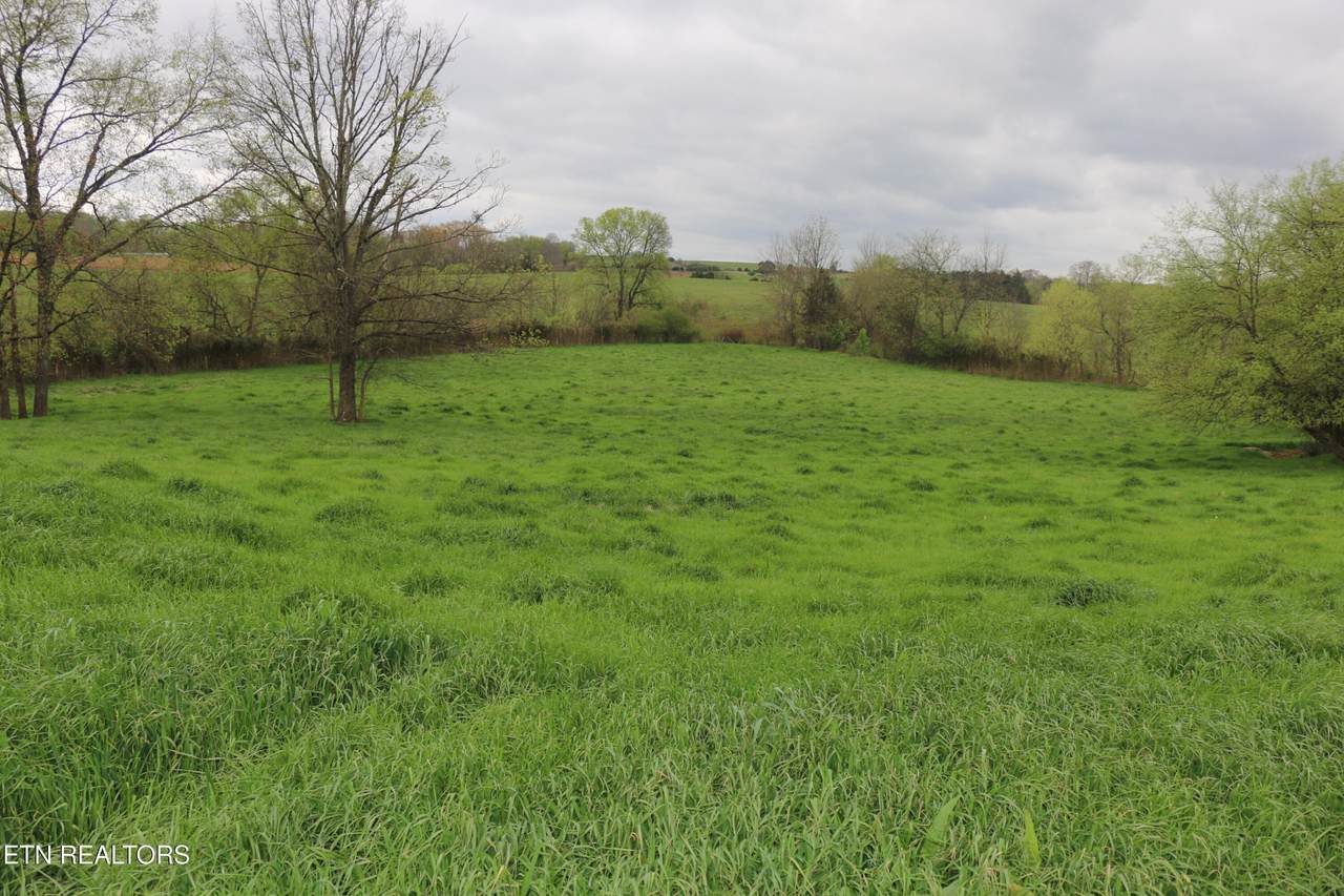 5.51 Acres Campground Rd - Photo 1