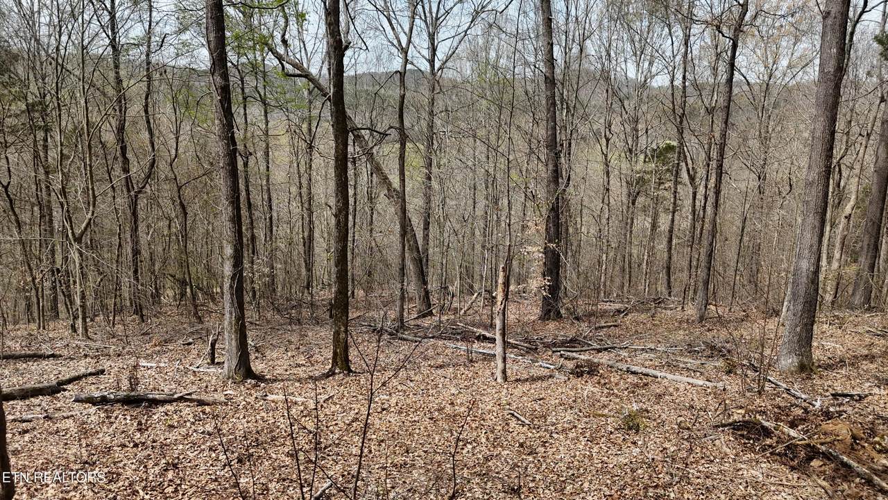 000 Geren Subd Lane - Photo 1