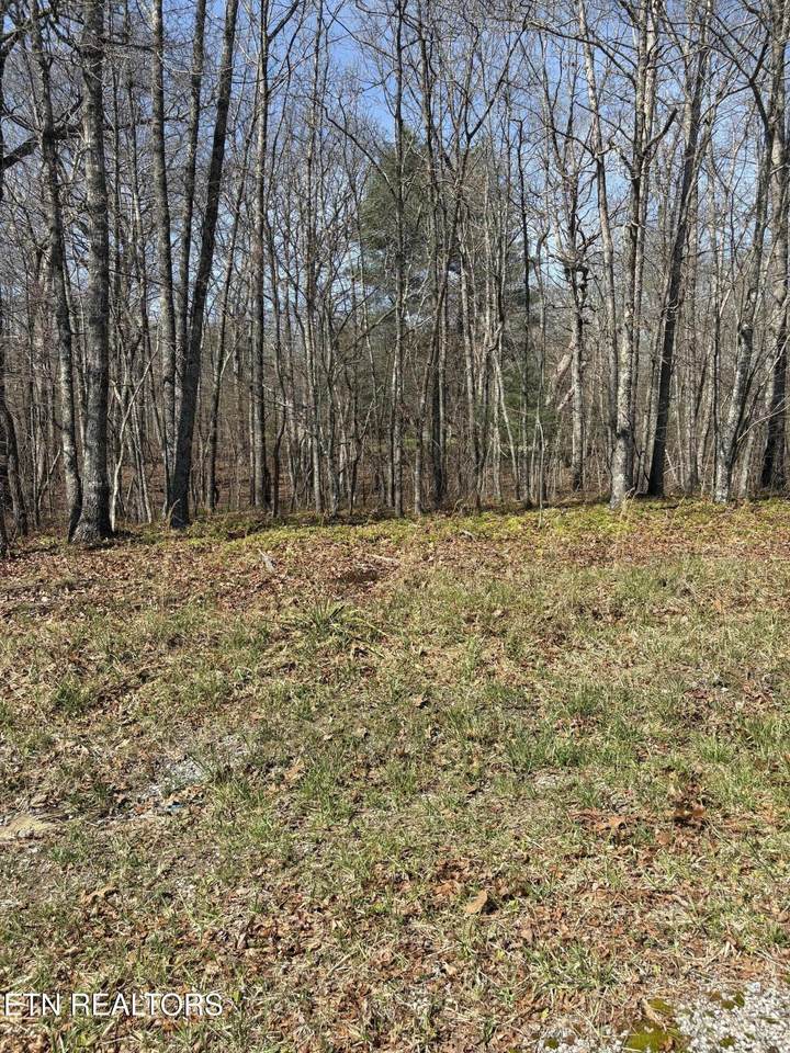 5011 Impa Drive - Photo 1