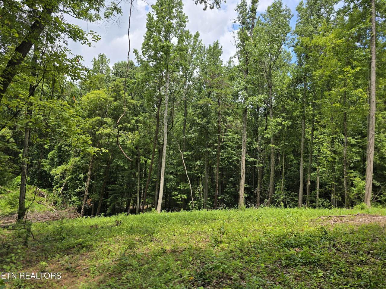 278 Norman Rd - Photo 1