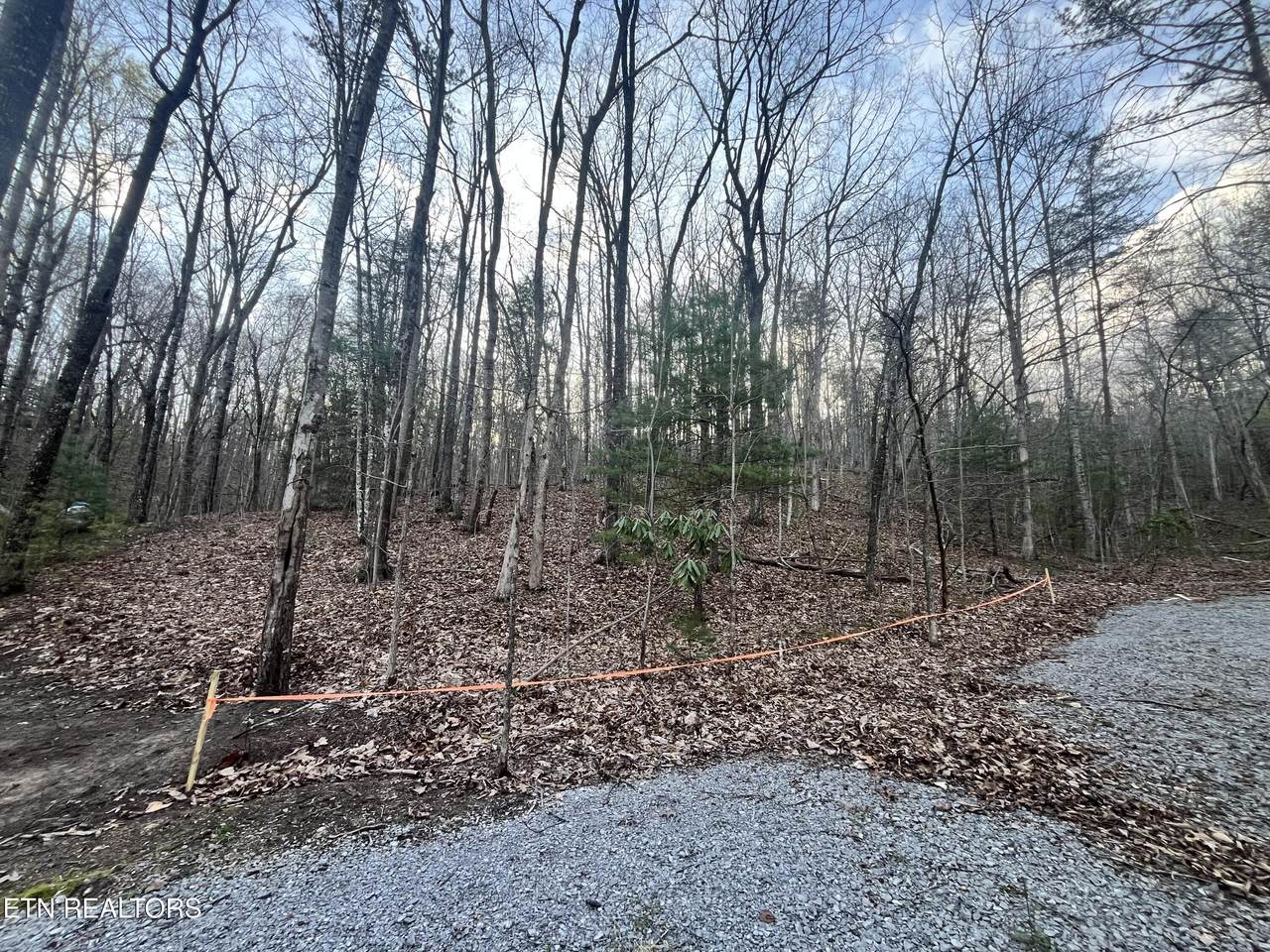 6871 Holiday Drive - Photo 1