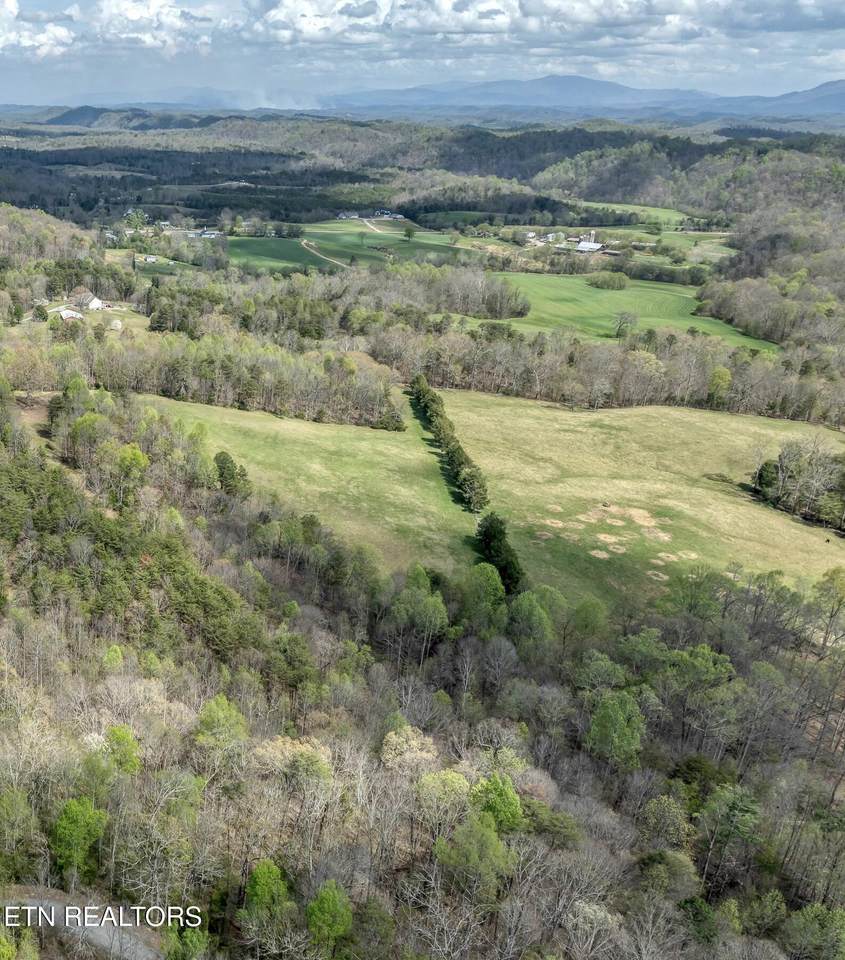  Green Hill Rd - Photo 1