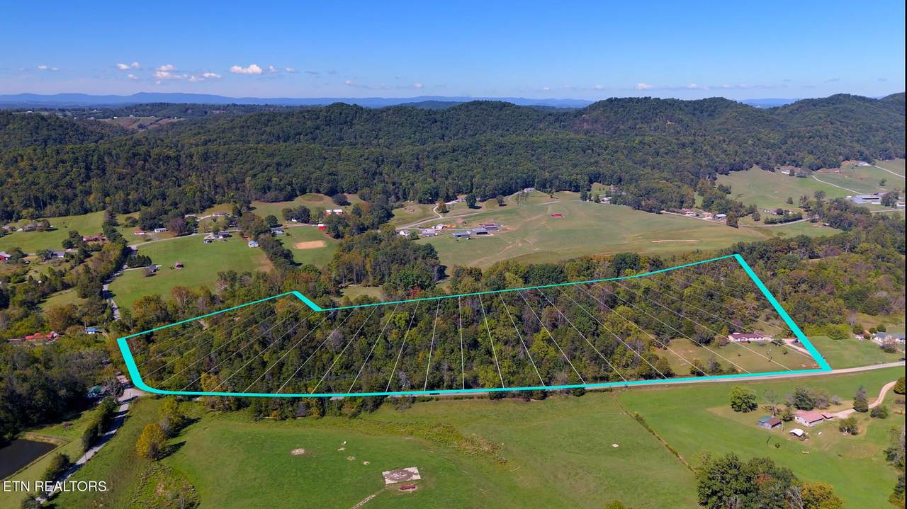 259 Little Tater Valley Rd - Photo 1