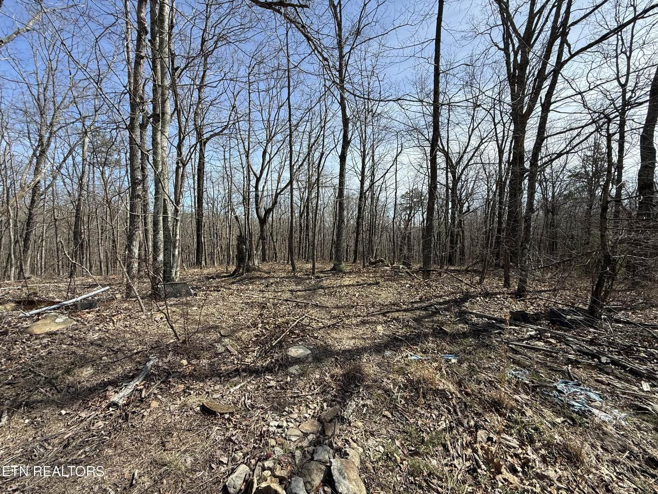 Lot 69 Log Rd - Photo 1