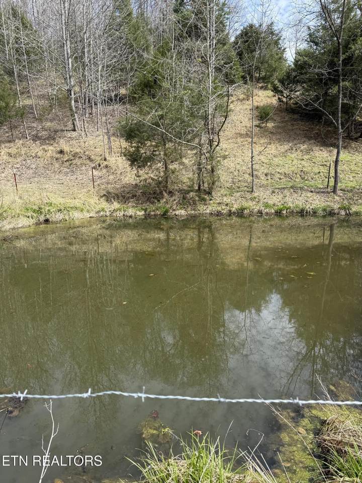 00 Kyles Ford (35 Acres) Hwy - Photo 1