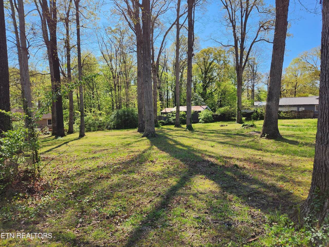 4518 Lonas Drive - Photo 1