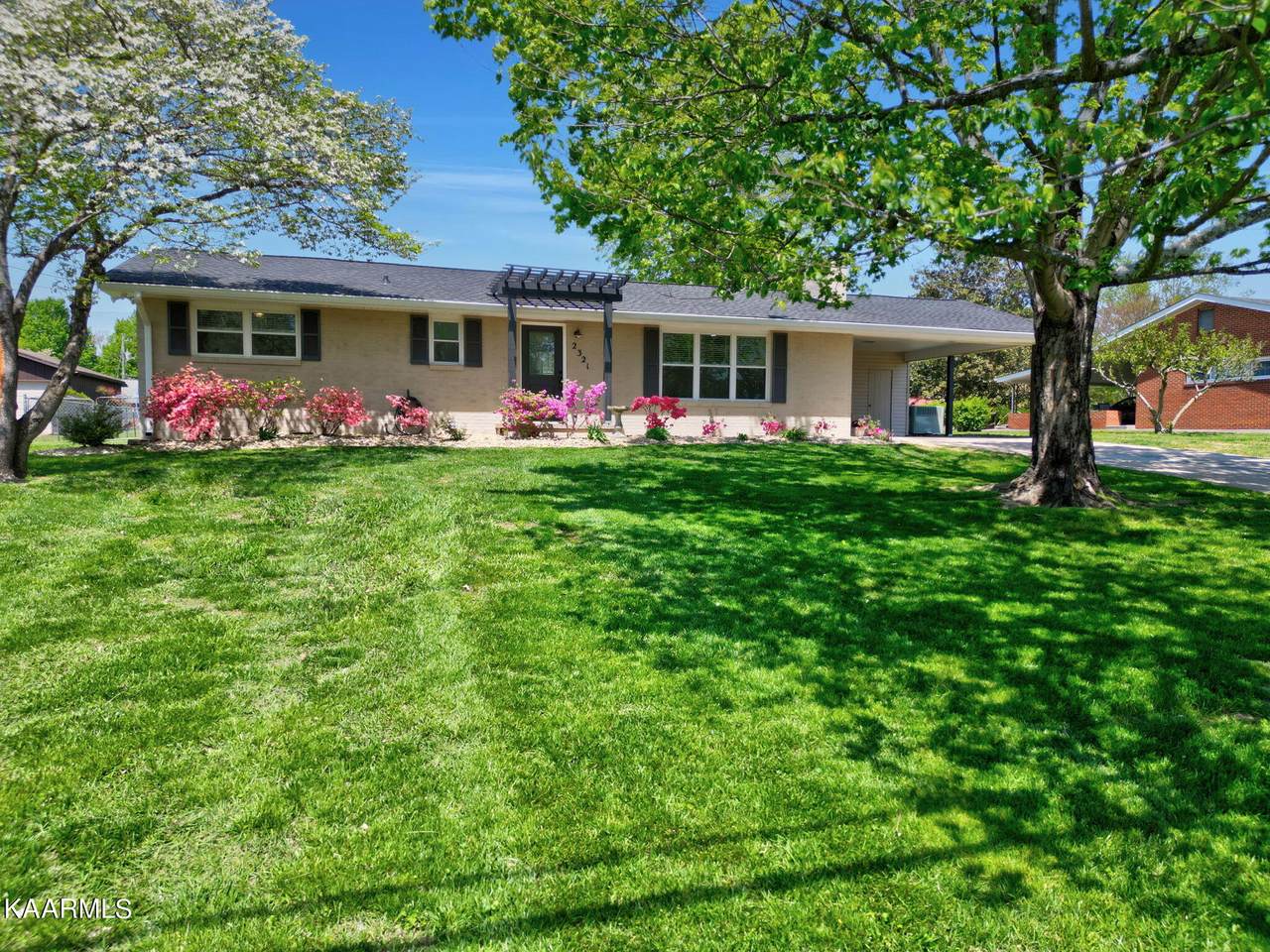 2321 Capri Drive - Photo 1