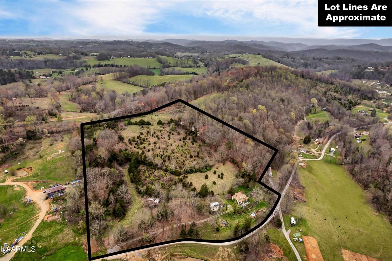 Lot 290 Maddox Lane - Photo 1