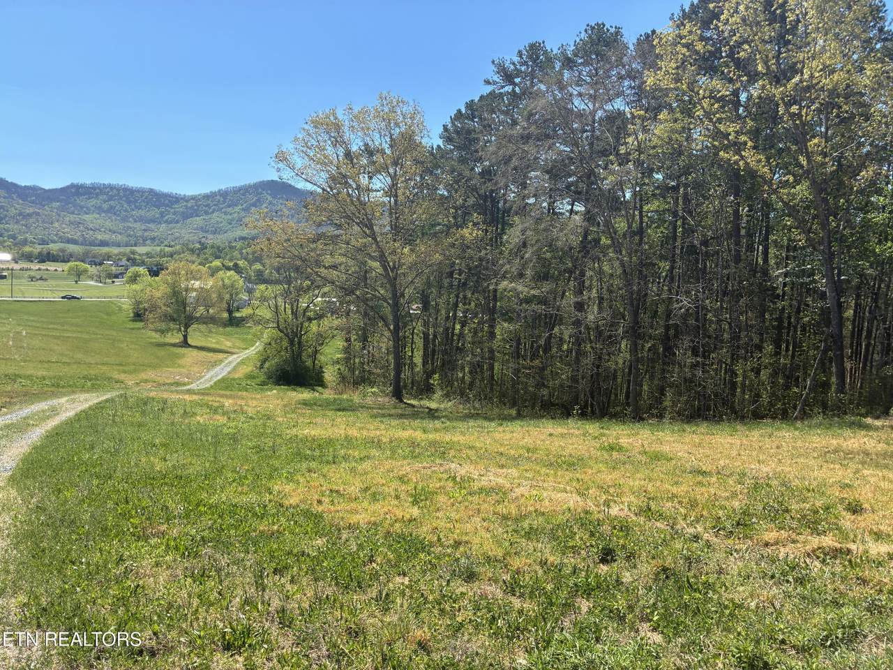  Highway 411 - Photo 1