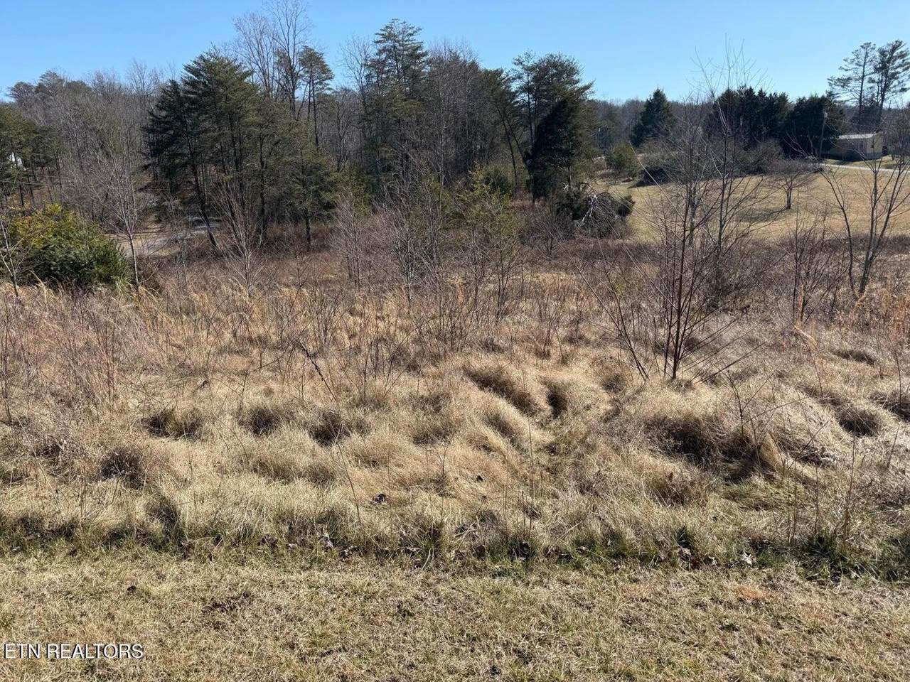 7 Crockett Lake Drive - Photo 1