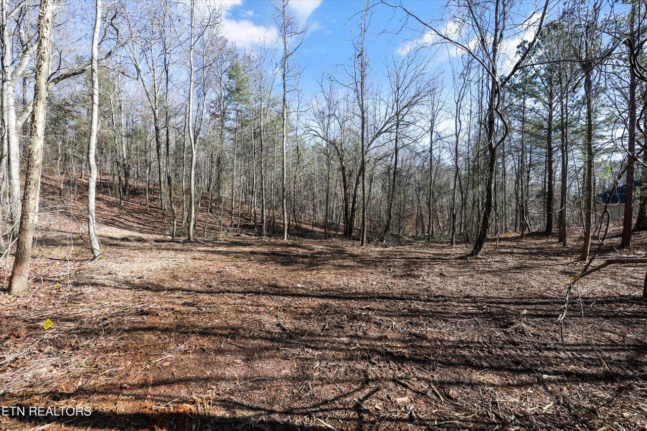  Sunrise Lane - Photo 1