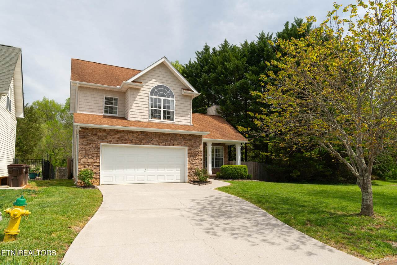 8113 Spring Haven Lane - Photo 1
