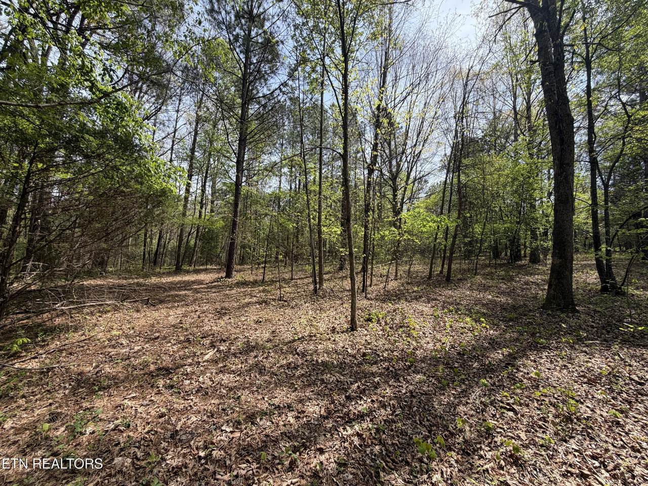 7836 Dry Valley Road - Photo 1