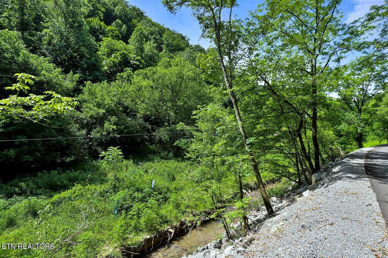 00 Caney Creek Rd - Photo 1